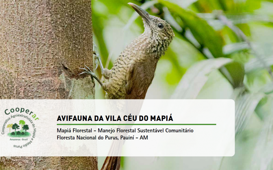 Avifauna