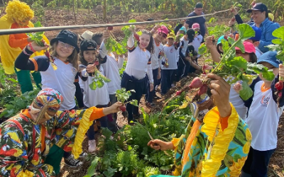 Educação Ambiental – Retrospectiva do 2º semestre