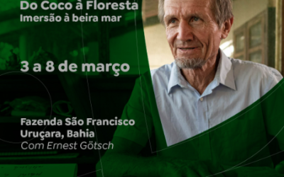 Imersão a Beira Mar