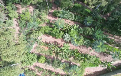APRENDENDO A CULTIVAR COM A NATUREZA – 27/11/2023