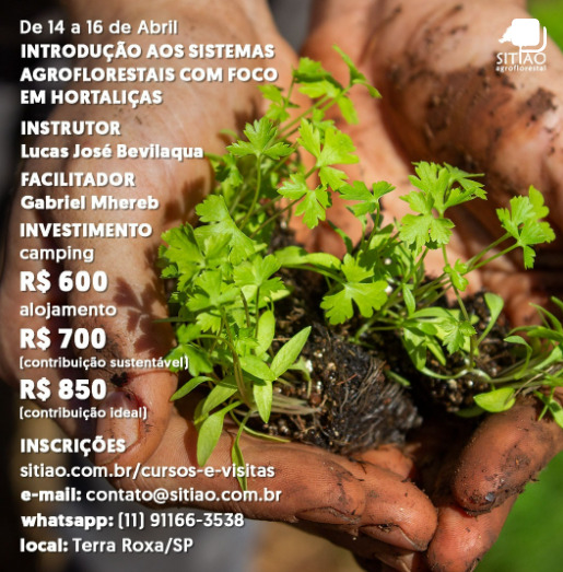 Introdução aos Sistemas Agroflorestais com Foco em Hortaliças