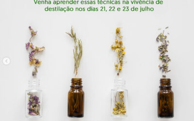Vivência de Destilação
