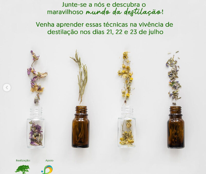 Vivência de Destilação