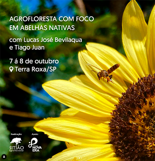 AGROFLORESTA COM FOCO EM ABELHAS NATIVAS