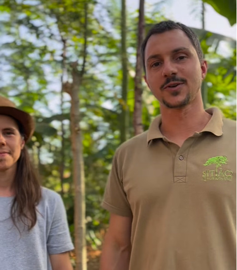 SISTEMA AGROFLORESTAL QUE INTEGRA ABELHAS NATIVAS