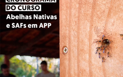 CRONOGRAMA DO CURSO ABELHAS NATIVAS E SAFS EM APP