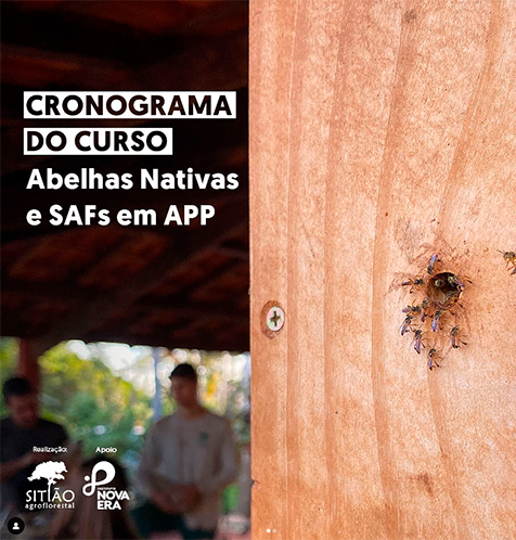 CRONOGRAMA DO CURSO ABELHAS NATIVAS E SAFS EM APP