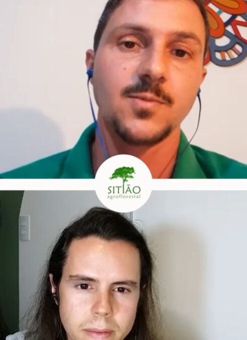Adaptações no desenho da Agrofloresta