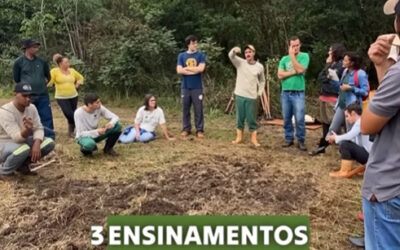 Confira 3 ensinamentos base do curso de Abelhas Nativas e Agrofloresta em APP