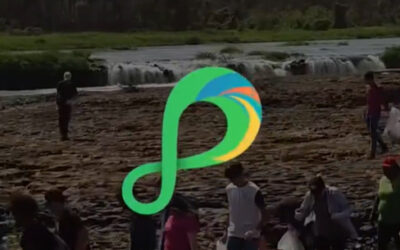 Ação Ambiental às margens do Rio Pardo