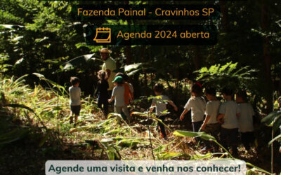 Educação Ambiental