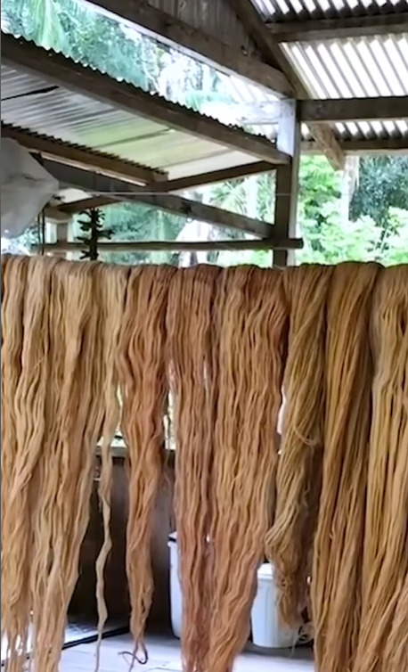 Linha do Tucum