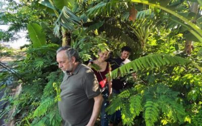 Mário Mantovani, presidente da Fundação Florestal 