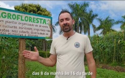 Agrofloresta, da Semente a Floresta – 23 de março