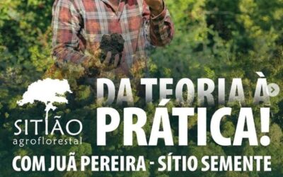 Curso de Agrofloresta Sintrópica – foco em horta e plantas medicinais.