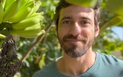 CURSO DE AGROFLORESTA – 14,15 E 16 DE JUNHO