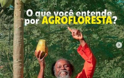 CURSO DE AGROFLORESTA – PARCERIA COM JUAN PEREIRA