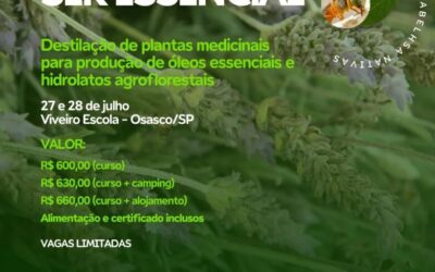SINERGIA COM AS ABELHAS NATIVAS