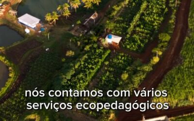 Dia dos Professores