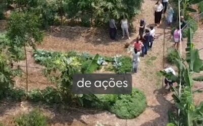 Dançando com o Clima