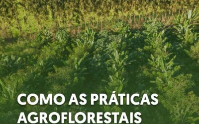 Transformando sua Produção