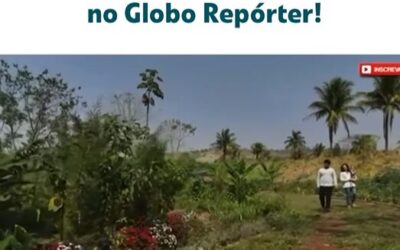 Sitião no Globo Repórter