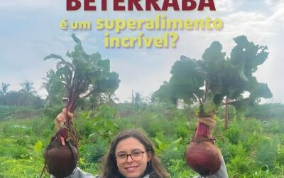 Beterraba, um superalimento incrível!