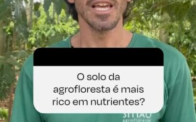 Dia Mundial do Solo