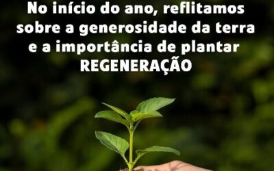 Que este ano seja de boas colheitas e renovação para todos! 