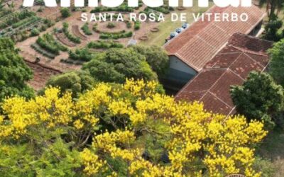 Relatório 1º ano Santa Rosa de Viterbo