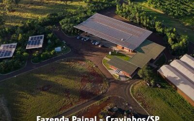 Produção e beneficiamento em harmonia com a natureza.