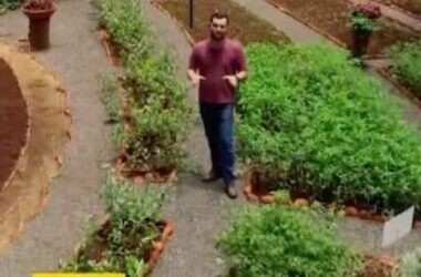 De muda em muda o jardim foi crescendo🌱💚
