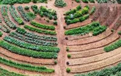 Curso Gratuito de Paisagismo Ecológico e Agroflorestal