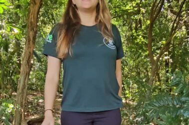Você conhece os Serviços Ecológicos e Agroflorestais?